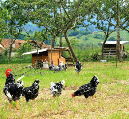 Lo que nos da la naturaleza