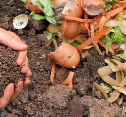 Del Residuo Orgánico al Compost